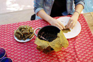 Stuffed grape leaves with lentils, oregano and mint preparation