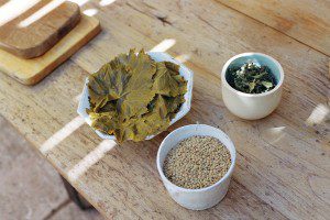 Stuffed grape leaves with lentils, oregano and mint | The ingredients