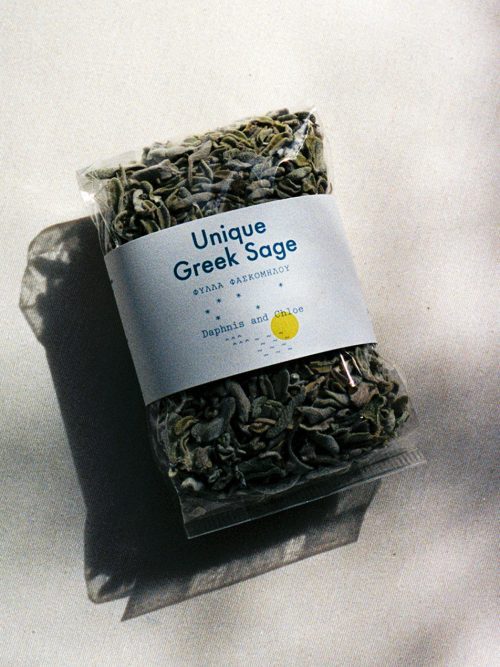 Greek Sage from Crete