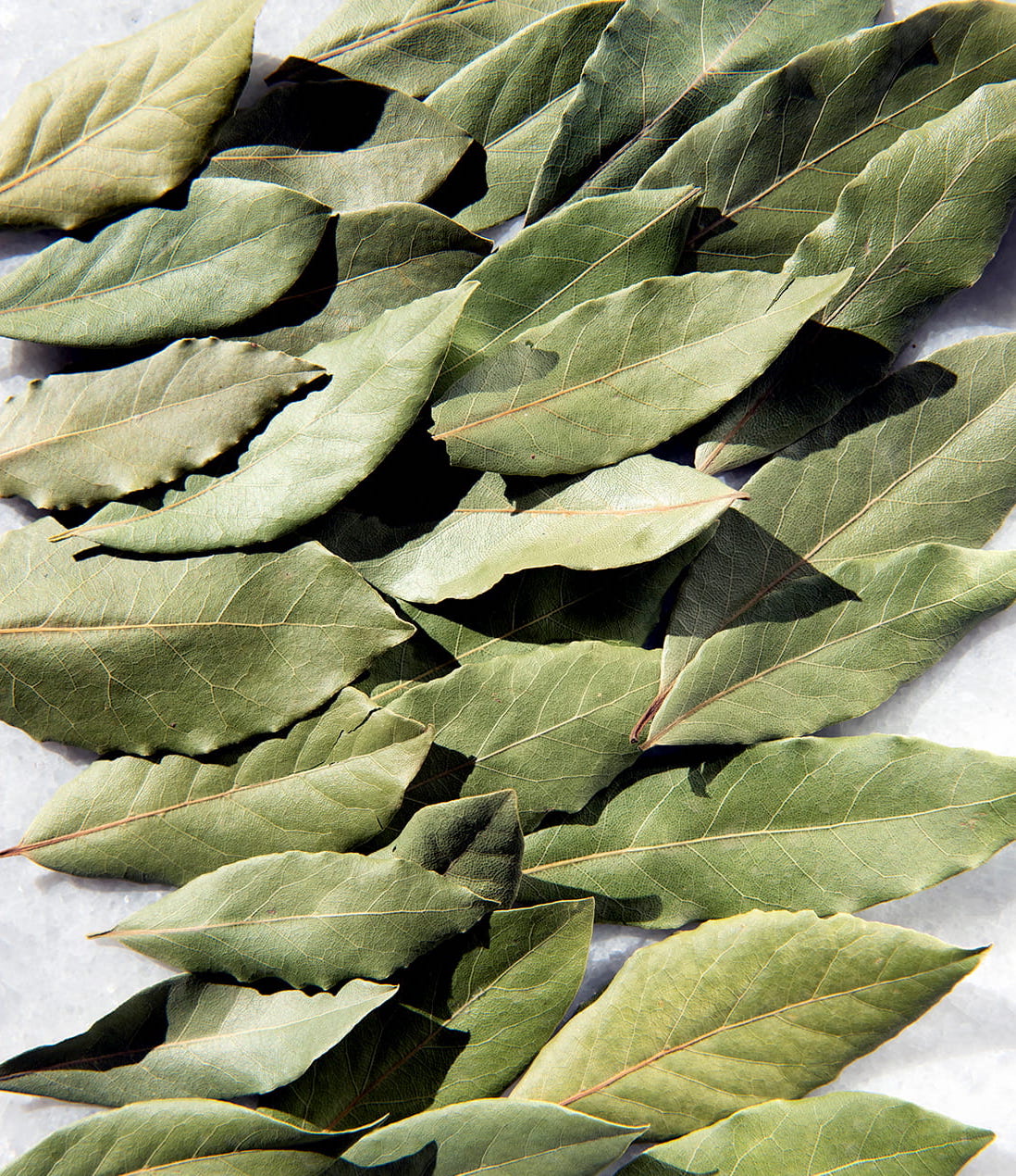organic bay leaves from greece by daphnis and chloe